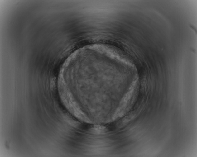 X0000091500278200709131856