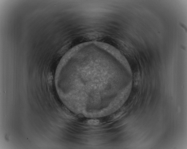 X0000091500279200709131856