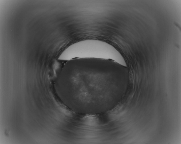 X0000091500280200709131856