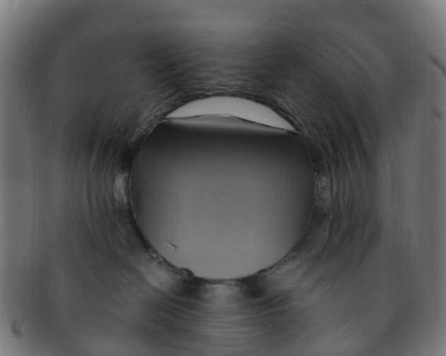 X0000091500286200709131856