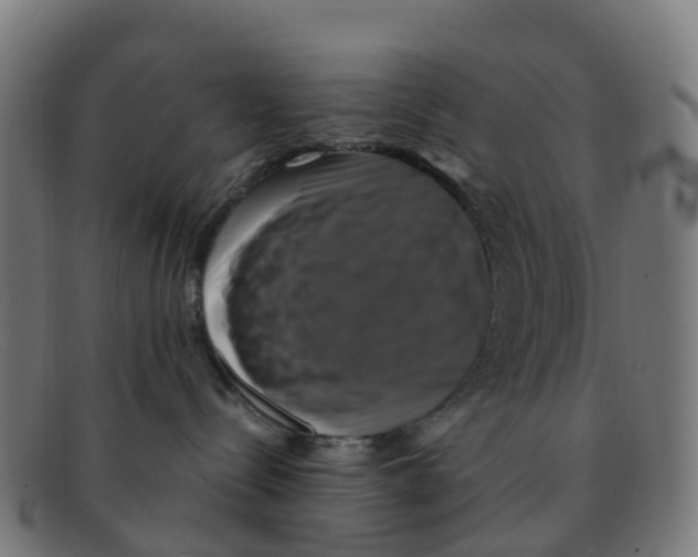 X0000091500288200709131856