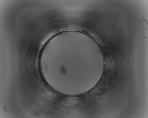 X0000091500292200709131856