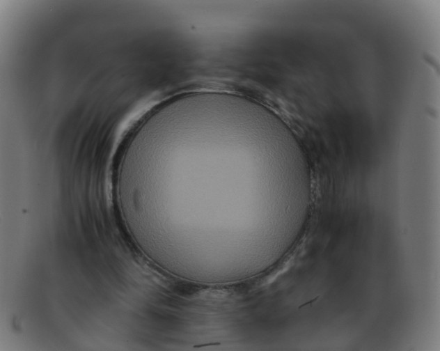 X0000091500294200709131856