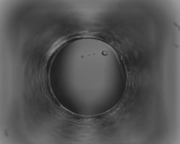 X0000091500295200709131856