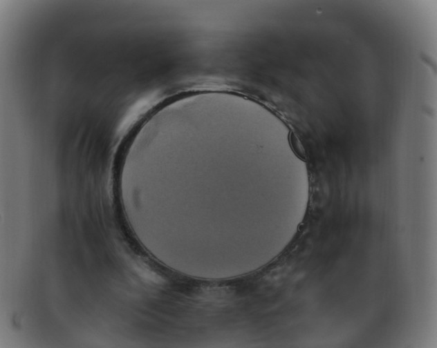 X0000091500296200709131856