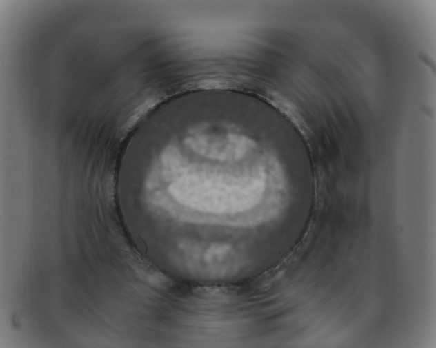 X0000091500297200709131856