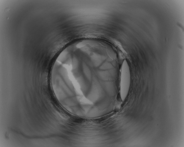 X0000091500299200709131856