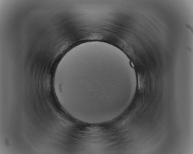 X0000091500300200709131856