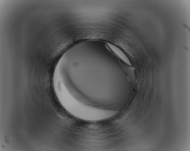 X0000091500303200709131856