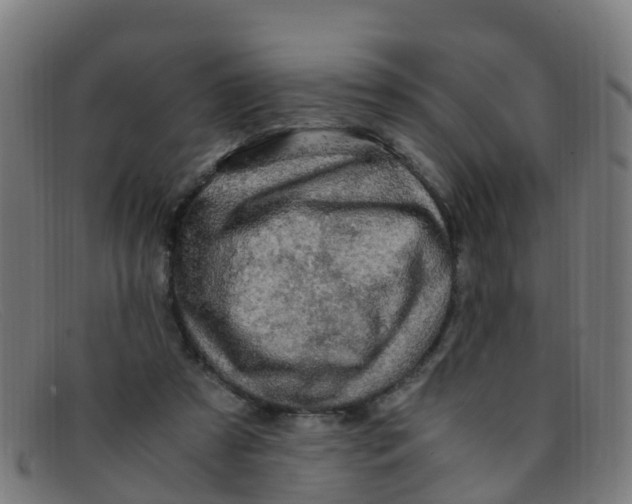 X0000091500305200709131856