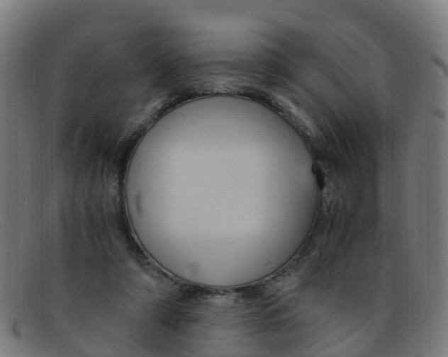 X0000091500306200709131856