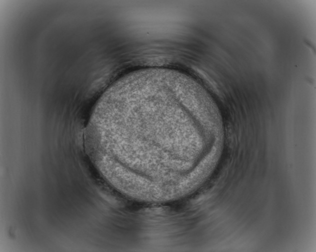 X0000091500307200709131856