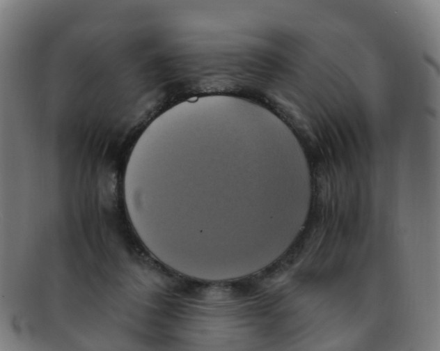 X0000091500308200709131856