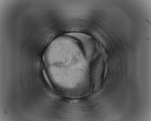 X0000091500309200709131855