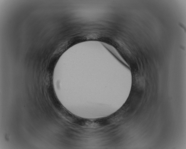 X0000091500311200709131855