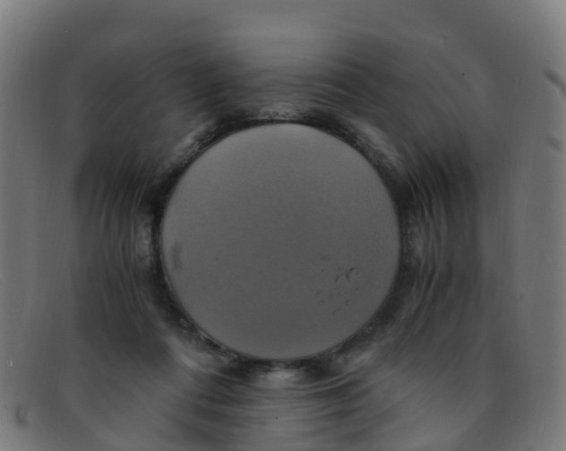 X0000091500312200709131855