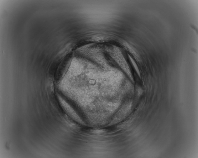 X0000091500313200709131855