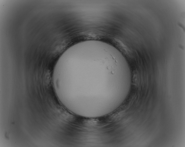 X0000091500318200709131855