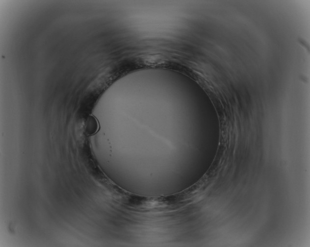 X0000091500319200709131855