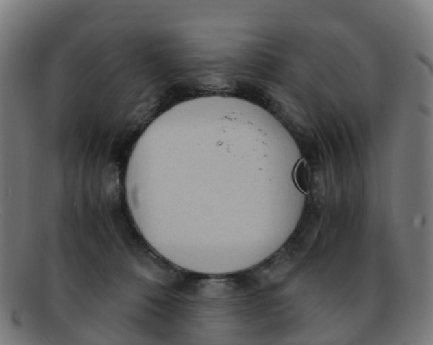 X0000091500320200709131855