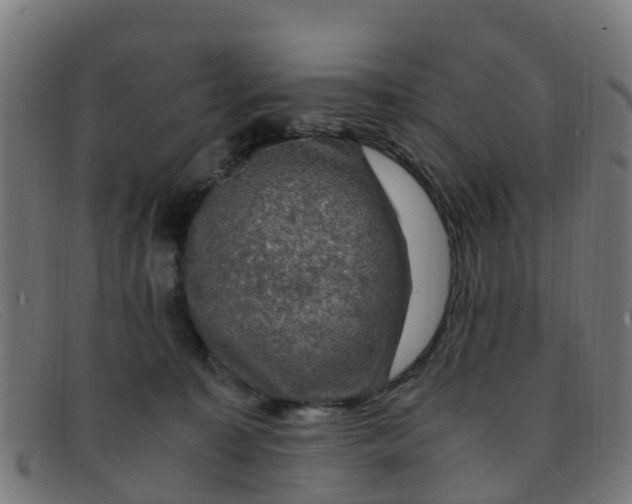 X0000091500323200709131855