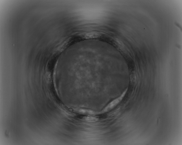 X0000091500327200709131855