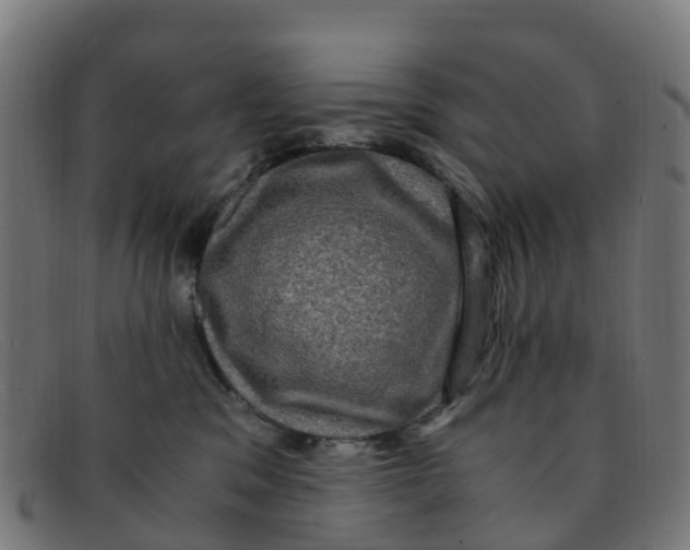 X0000091500329200709131855