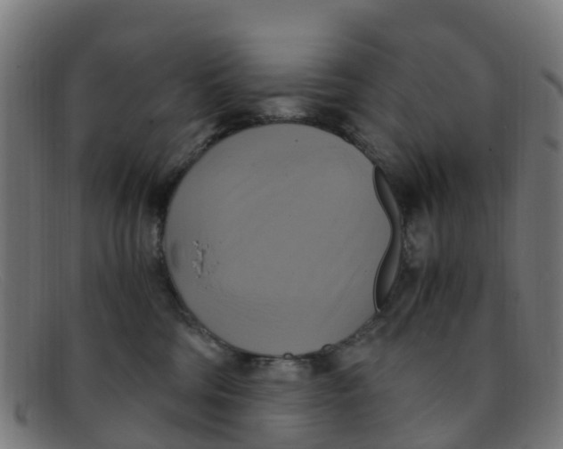 X0000091500330200709131855