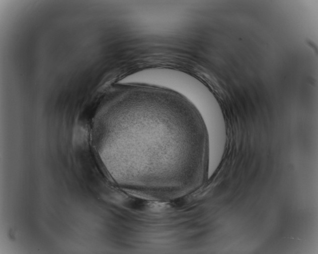 X0000091500333200709131855