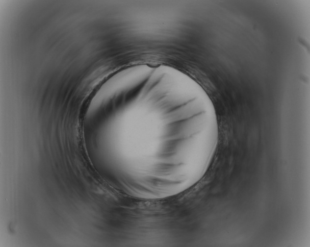 X0000091500338200709131854