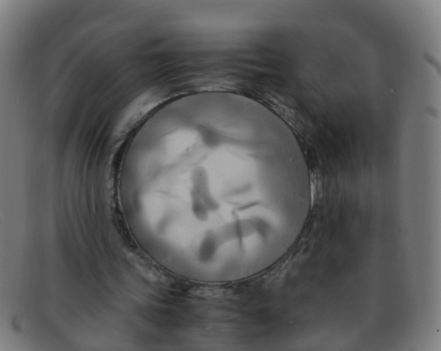 X0000091500339200709131854