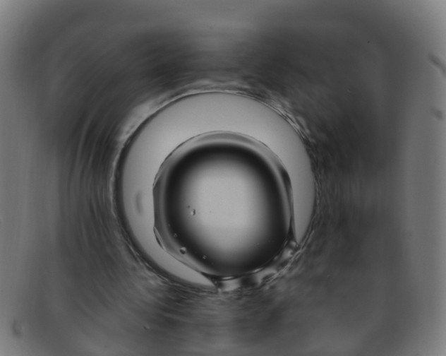 X0000091500340200709131854