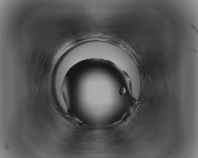 X0000091500344200709131855