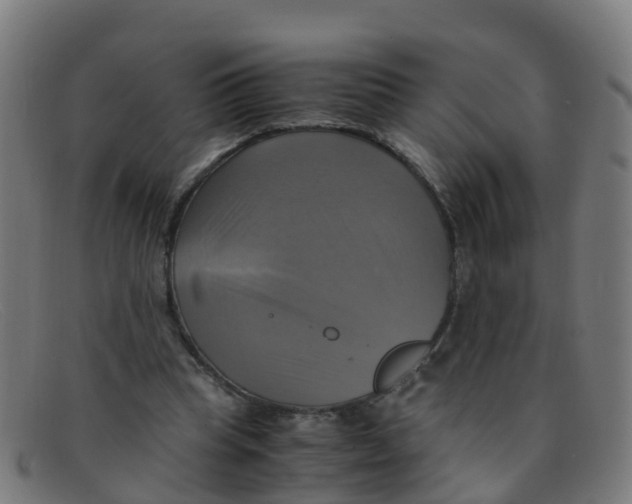 X0000091500345200709131855