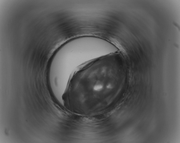 X0000091500346200709131855