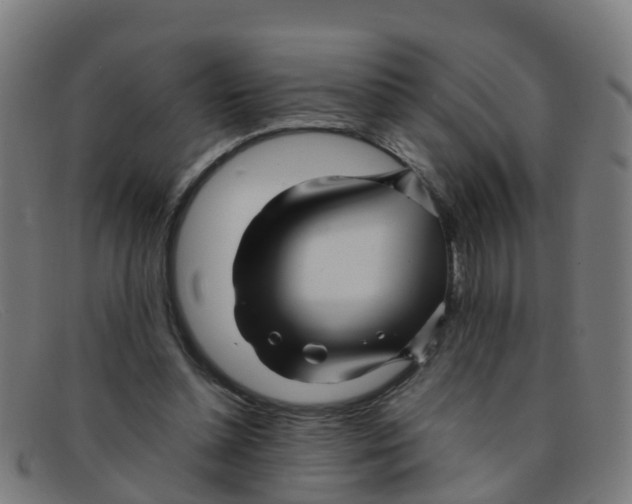 X0000091500348200709131855