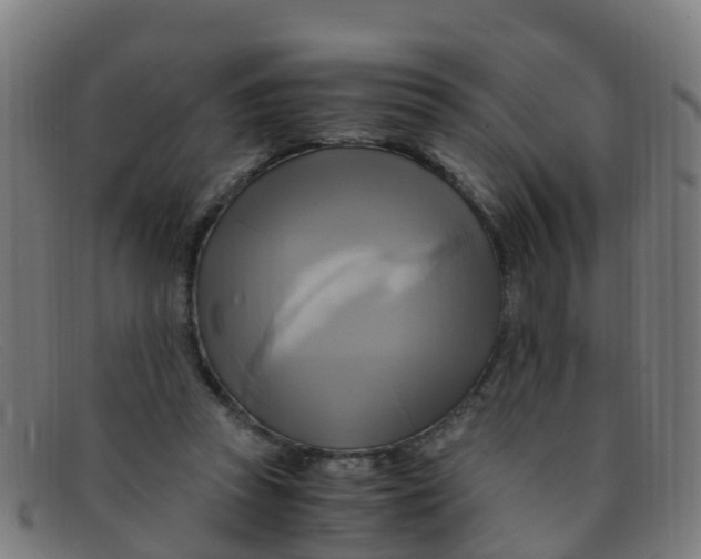 X0000091500353200709131855