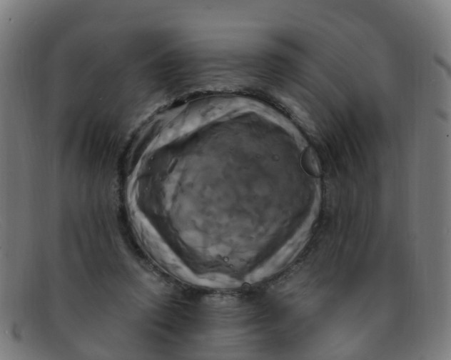 X0000091500354200709131855