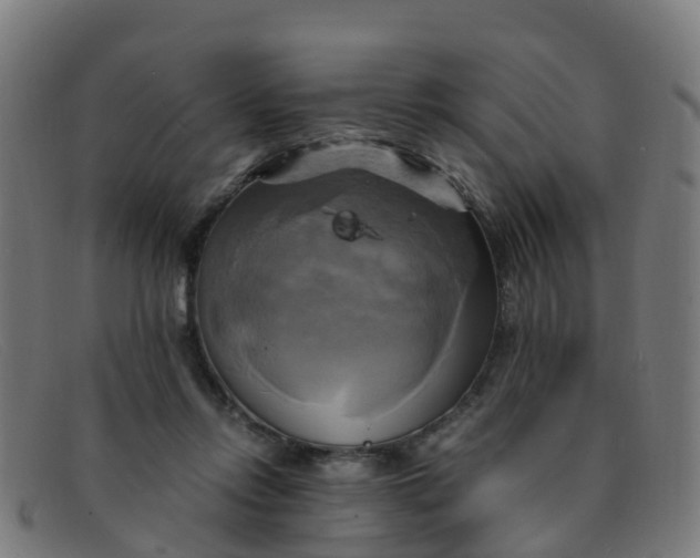 X0000091500358200709131855