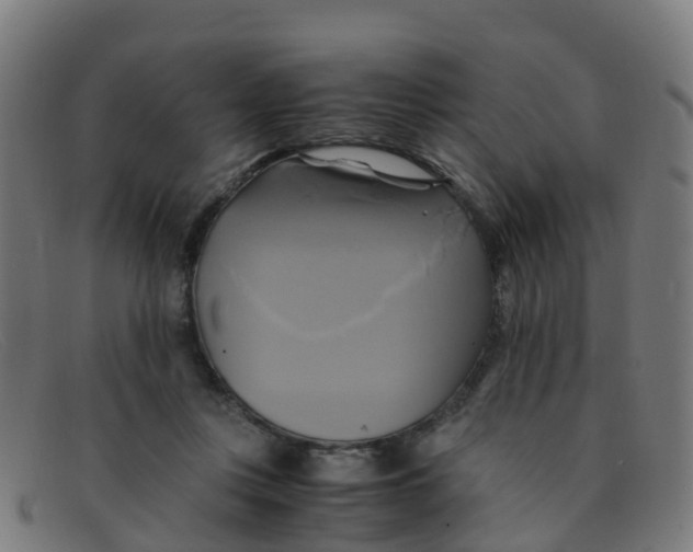 X0000091500359200709131855