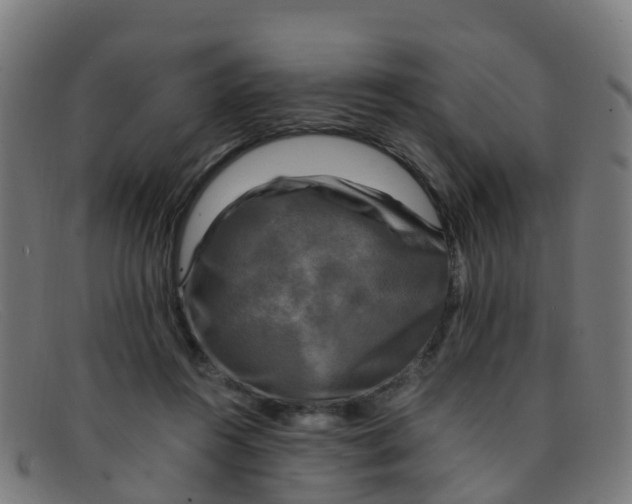 X0000091500360200709131855