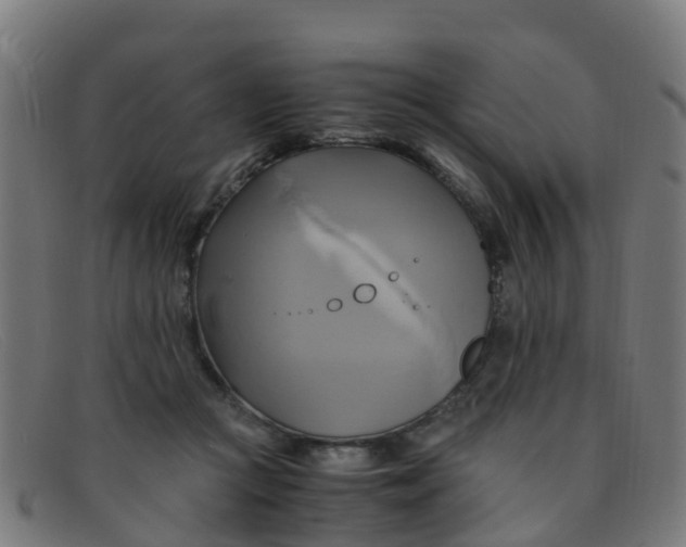 X0000091500361200709131855