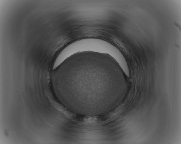 X0000091500362200709131855