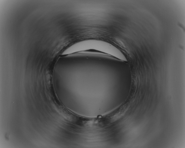 X0000091500366200709131855