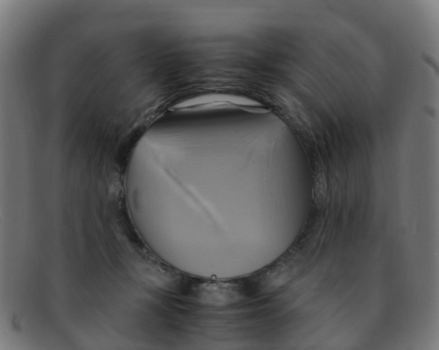 X0000091500367200709131855