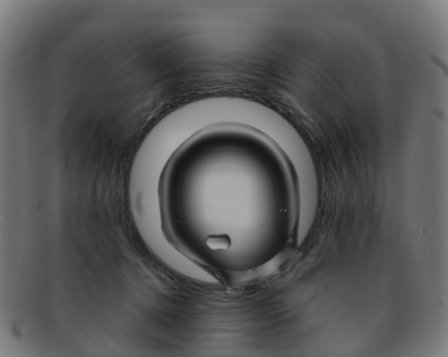 X0000091500368200709131855