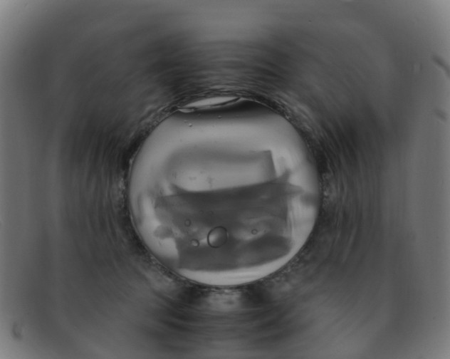 X0000091500369200709131855