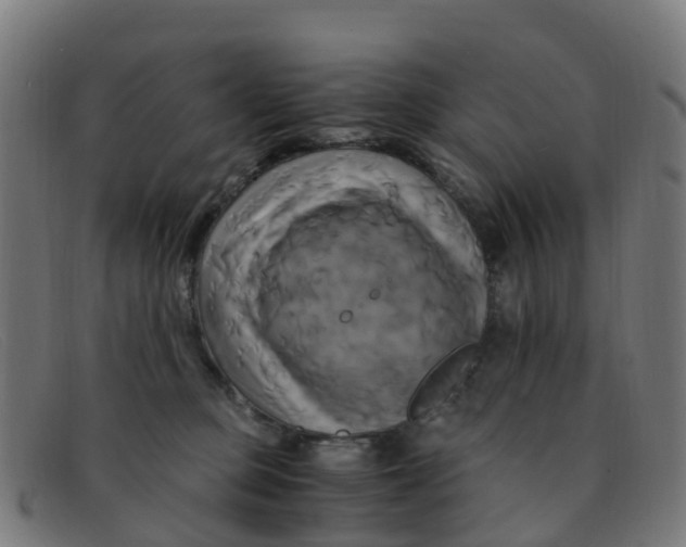 X0000091500373200709131855