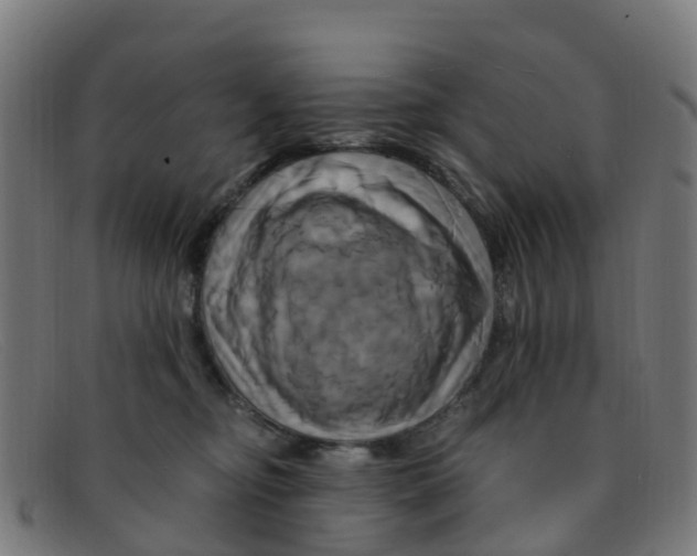 X0000091500374200709131855