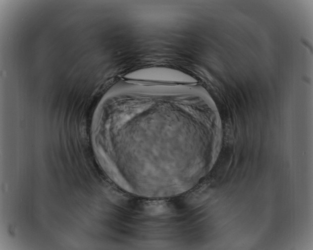 X0000091500377200709131855